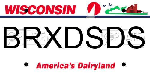 BRXDSDS Wisconsin License Plate