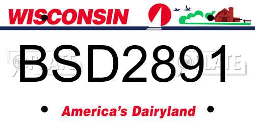 BSD2891 Wisconsin License Plate