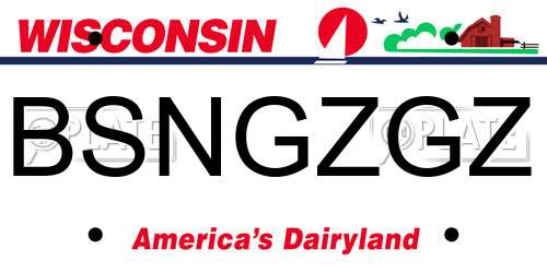 BSNGZGZ Wisconsin License Plate