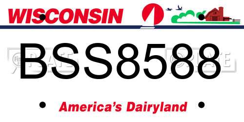 BSS8588 Wisconsin License Plate