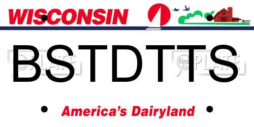 BSTDTTS Wisconsin License Plate