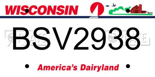 BSV2938 Wisconsin License Plate