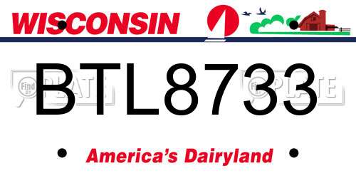 BTL8733 Wisconsin License Plate