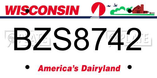 BZS8742 Wisconsin License Plate