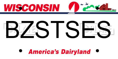 BZSTSES Wisconsin License Plate