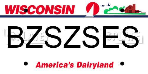 BZSZSES Wisconsin License Plate