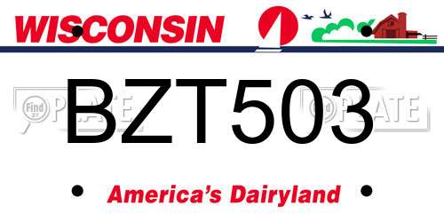 BZT503 Wisconsin License Plate