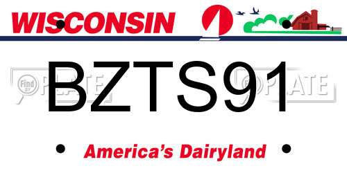 BZTS91 Wisconsin License Plate
