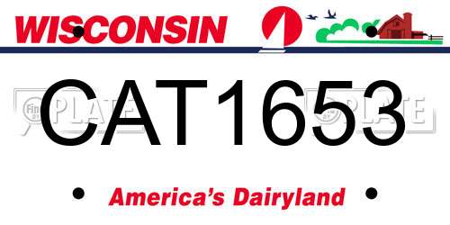 CAT1653 Wisconsin License Plate