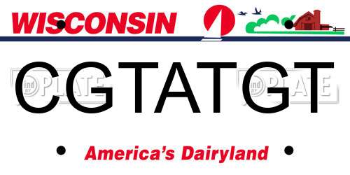 CGTATGT Wisconsin License Plate