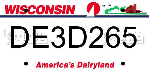 DE3D265 Wisconsin License Plate