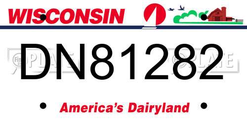 DN81282 Wisconsin License Plate