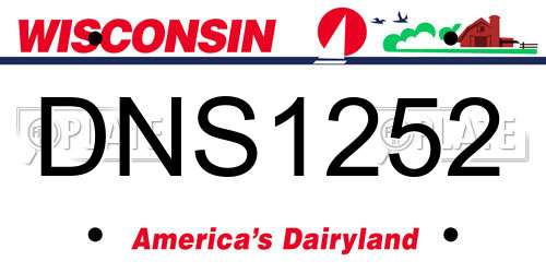 DNS1252 Wisconsin License Plate