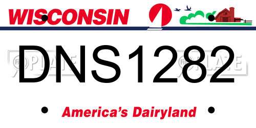 DNS1282 Wisconsin License Plate
