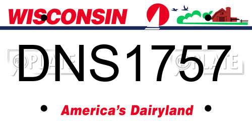 DNS1757 Wisconsin License Plate