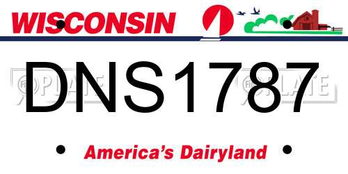 DNS1787 Wisconsin License Plate