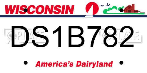 DS1B782 Wisconsin License Plate