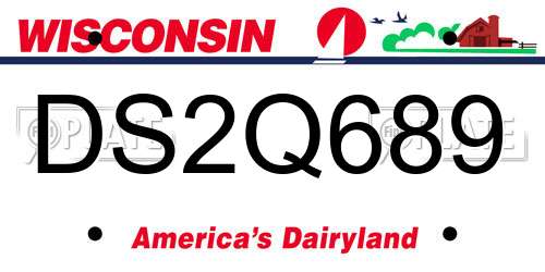 DS2Q689 Wisconsin License Plate