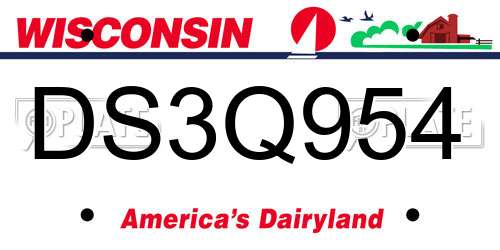 DS3Q954 Wisconsin License Plate