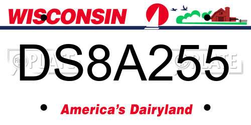 DS8A255 Wisconsin License Plate