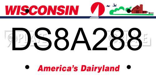 DS8A288 Wisconsin License Plate