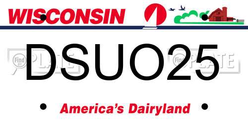 DSUO25 Wisconsin License Plate