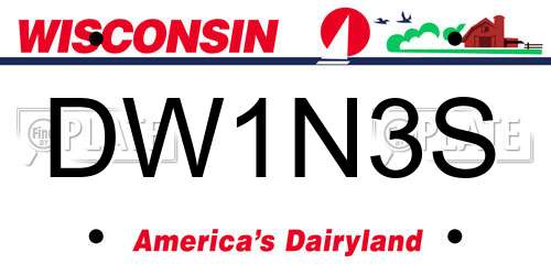 DW1N3S Wisconsin License Plate