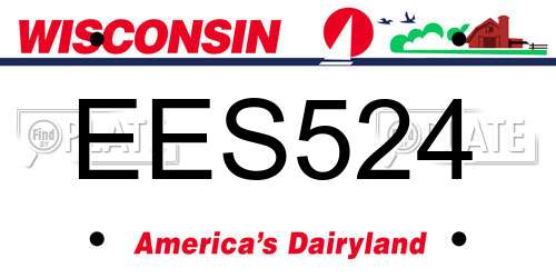 EES524 Wisconsin License Plate