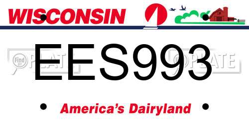 EES993 Wisconsin License Plate
