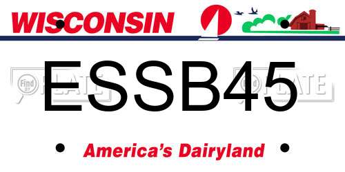 ESSB45 Wisconsin License Plate