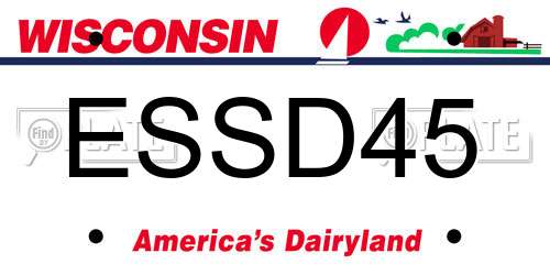 ESSD45 Wisconsin License Plate