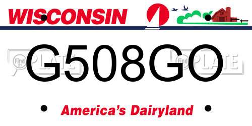 G508GO Wisconsin License Plate