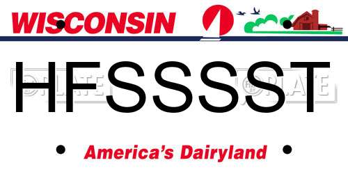 HFSSSST Wisconsin License Plate