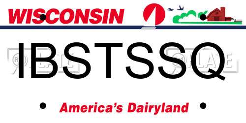 IBSTSSQ Wisconsin License Plate