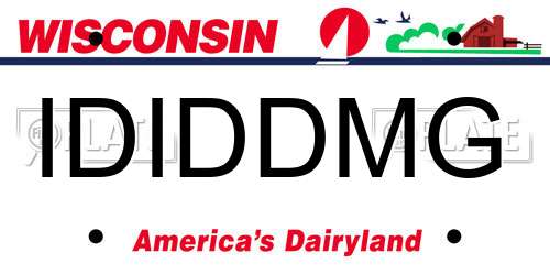 IDIDDMG Wisconsin License Plate