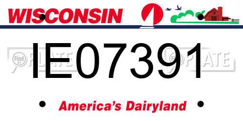 IE07391 Wisconsin License Plate