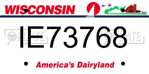 IE73768 Wisconsin License Plate