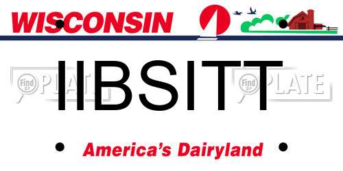 IIBSITT Wisconsin License Plate