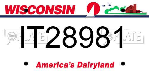 IT28981 Wisconsin License Plate
