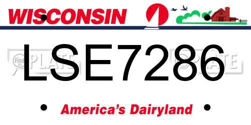 LSE7286 Wisconsin License Plate