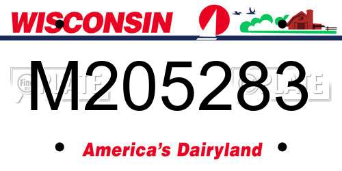M205283 Wisconsin License Plate