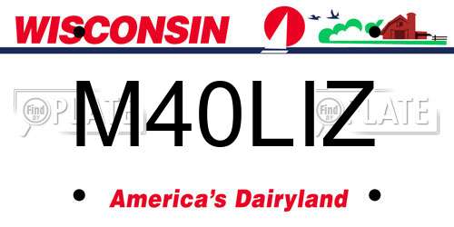 M40LIZ Wisconsin License Plate