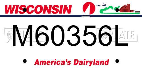 M60356L Wisconsin License Plate