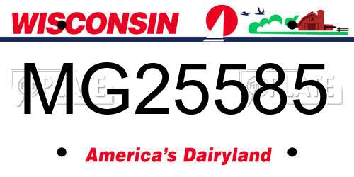 MG25585 Wisconsin License Plate