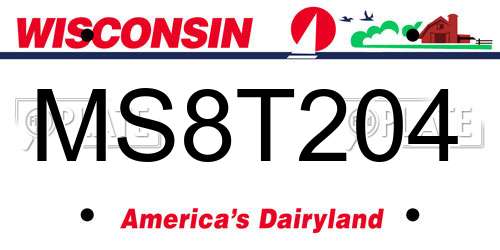 MS8T204 Wisconsin License Plate