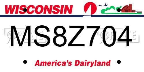MS8Z704 Wisconsin License Plate
