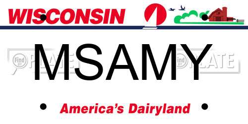 MSAMY Wisconsin License Plate