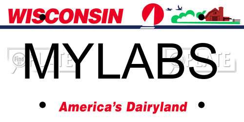 MYLABS Wisconsin License Plate