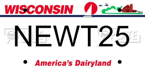 NEWT25 Wisconsin License Plate
