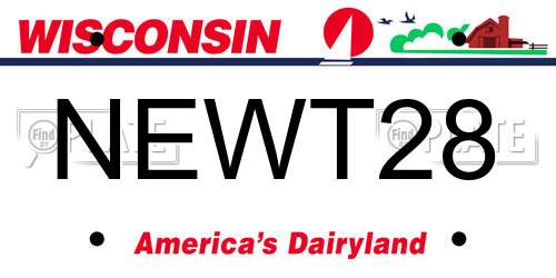 NEWT28 Wisconsin License Plate